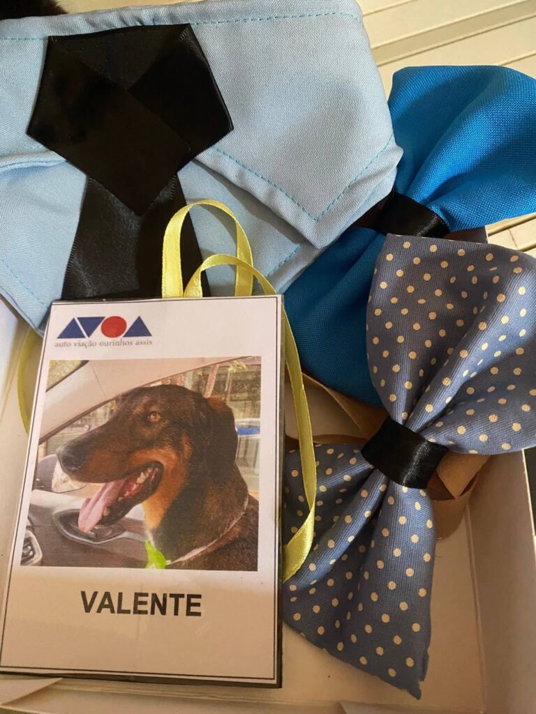 alem-de-ganhar-‘passe-livre’-cao-valente-acaba-de-ganhar-uniforme-e-cracha-da-empresa